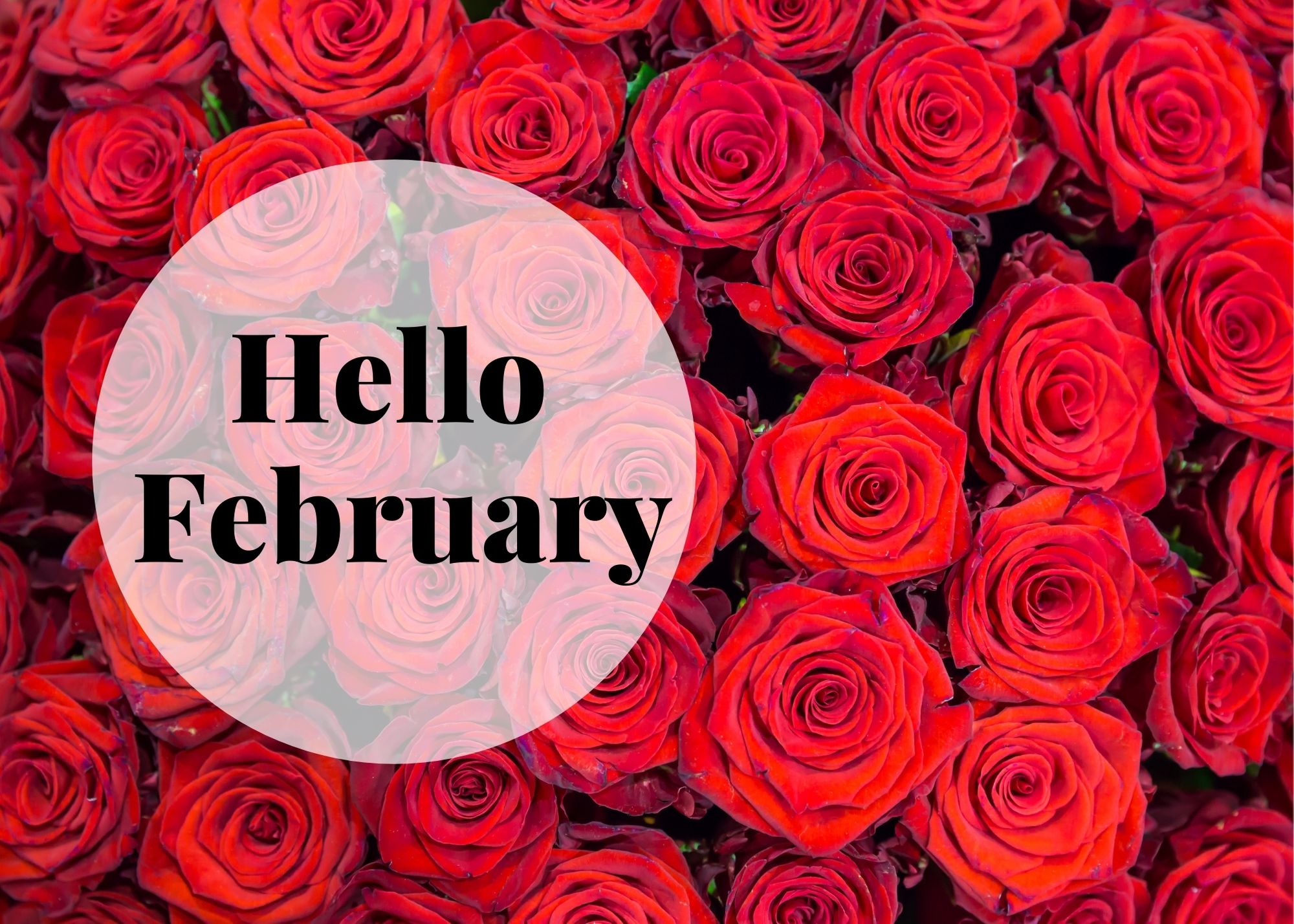 February Specials You'll Love - Elite Body and Laser